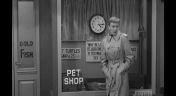 15. The Pet Shop