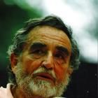 Vittorio Gassman