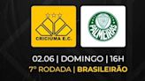 Criciúma x Palmeiras ao vivo: horário e onde assistir ao Brasileirão