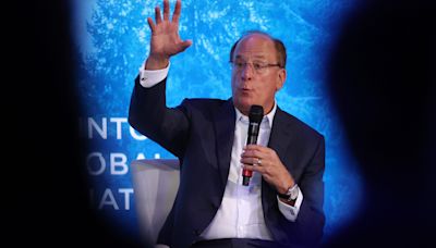 Looser regulation would allow business-led growth to relieve the 'massive' deficit burden, BlackRock chief Larry Fink says