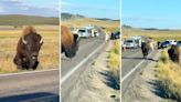 Disturbing video captures ‘tourons’ tempting fate at national park: ‘I can’t believe people are that stupid’