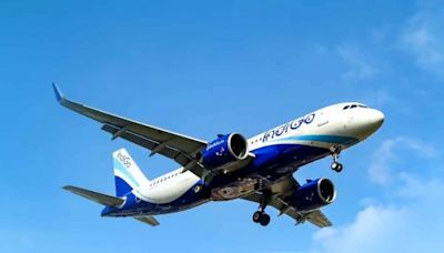 New IndiGo Direct Flights To Abu Dhabi From Tiruchirappalli, Mangaluru, And Coimbatore