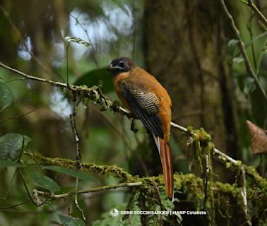 We ruined protected areas, now we must save them