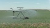 Southern Alberta farmers optimistic despite heat wave