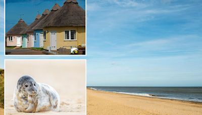The quirky village with African-inspired homes, a top UK beach & seal-pup safari