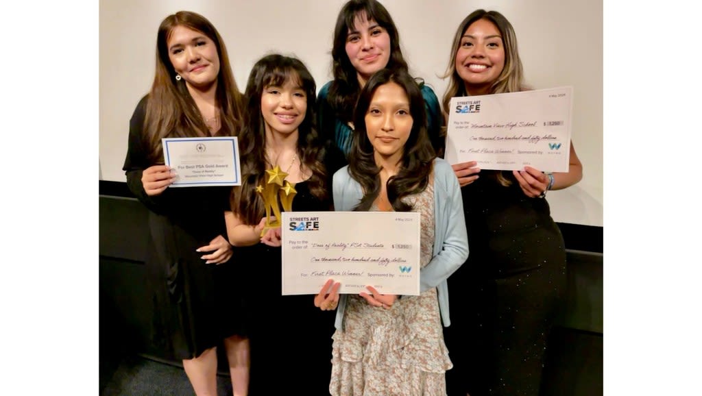 Mountain View High School VISTA students take top honors in national PSA competition