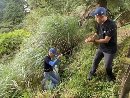 遊客吃完便當往山下丟 太平山人員賣命垂降撿垃圾！驚險畫面曝