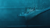 水下武器大對決！美、澳推蝠鱝與幽靈鯊海底無人機 中國搞041核潛艇