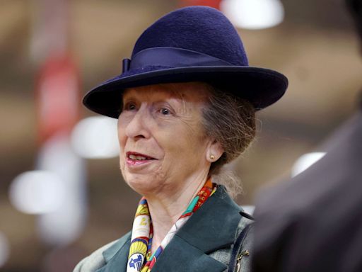 Princess Anne Says She 'Can't Remember a Single Thing' About Horse Incident