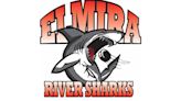 Elmira River Sharks to announce new location and name