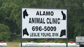 Alamo Animal Clinic hosts 10 year anniversary celebration - WBBJ TV