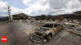 Team combs fire-ravaged New Mexico community for remains of the missing - Times of India