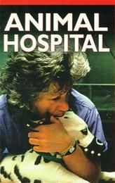 Animal Hospital