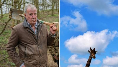 Jeremy Clarkson teases Diddly Squat Farm new arrivals with giraffe picture