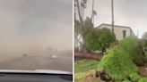 Tormenta monzónica deja estragos en el sur de Arizona