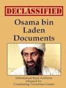 Declassified Osama bin Laden Documents