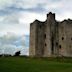 Walter de Lacy, Lord of Meath