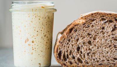 This Is The Best Container For Your Sourdough Starter
