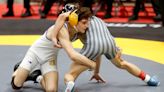 Make room on the podium: Eleven area wrestlers earn medals at state meet