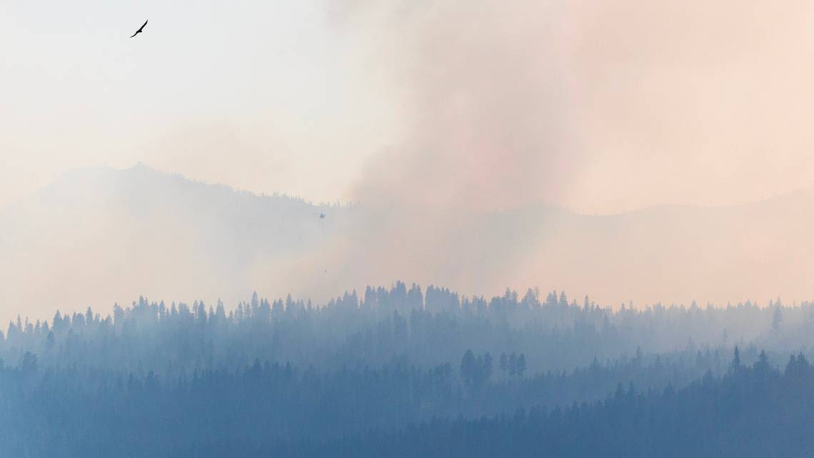 Idaho’s Lava Fire grows to prompt evacuations, road closures. Here’s the area affected