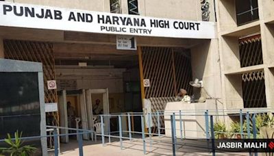Punjab and Haryana HC Bar Assn president Vikas Malik arrested