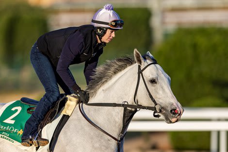 White Abarrio, National Treasure to Meet in Met Mile