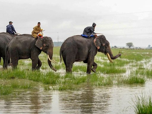 World Nature Conservation Day: How technology can help conserve lands and empower communities