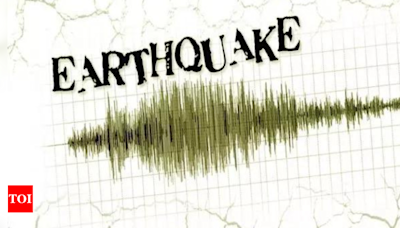 Manipur: Earthquake of 3.3 magnitude strikes Ukhrul | India News - Times of India