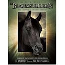 The New Adventures of the Black Stallion