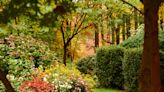 8 Fall Gardening Mistakes That Have a Long-Term Impact on Your Yard