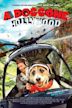 A Doggone Hollywood