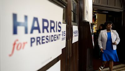 The Zoom-based networks powering Harris’ early candidacy