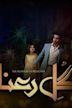 Gul-e-Rana (TV series)