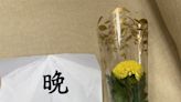 「我要求點名投票」一男一女冒充身份進立法院 闖藍委辦公室擺黃菊花