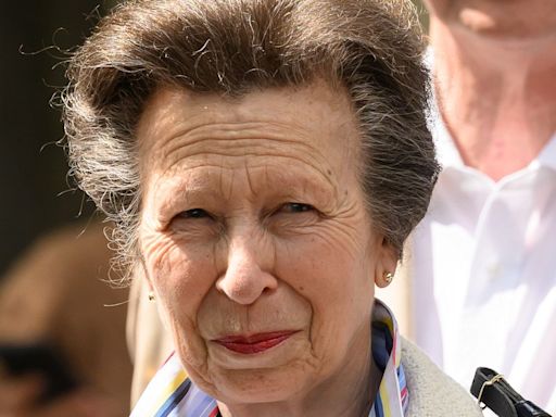 Princess Anne continues to recover at home as Sir Tim Laurence is forced to undertake her engagements