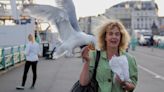 Holidaymakers in Brighton told to stop feeding seagulls TWO dishes