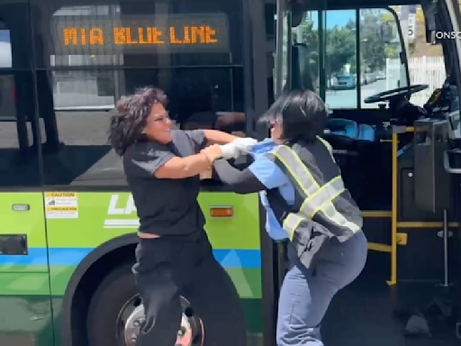 DASH bus driver was pushed, punched by passenger, video shows