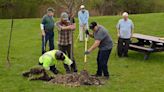 Lake Zurich marks Arbor Day with oak tree planting, shredding and other ‘green’ activities