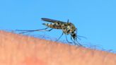 People in 7 States Confirmed to Have Mosquito-Borne West Nile Virus: Know the Symptoms