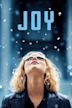 Joy (2015 film)