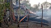 Fuego arrasa con árboles frutales y maderables del programa “Sembrando Vida”, en Guchicovi, Oaxaca