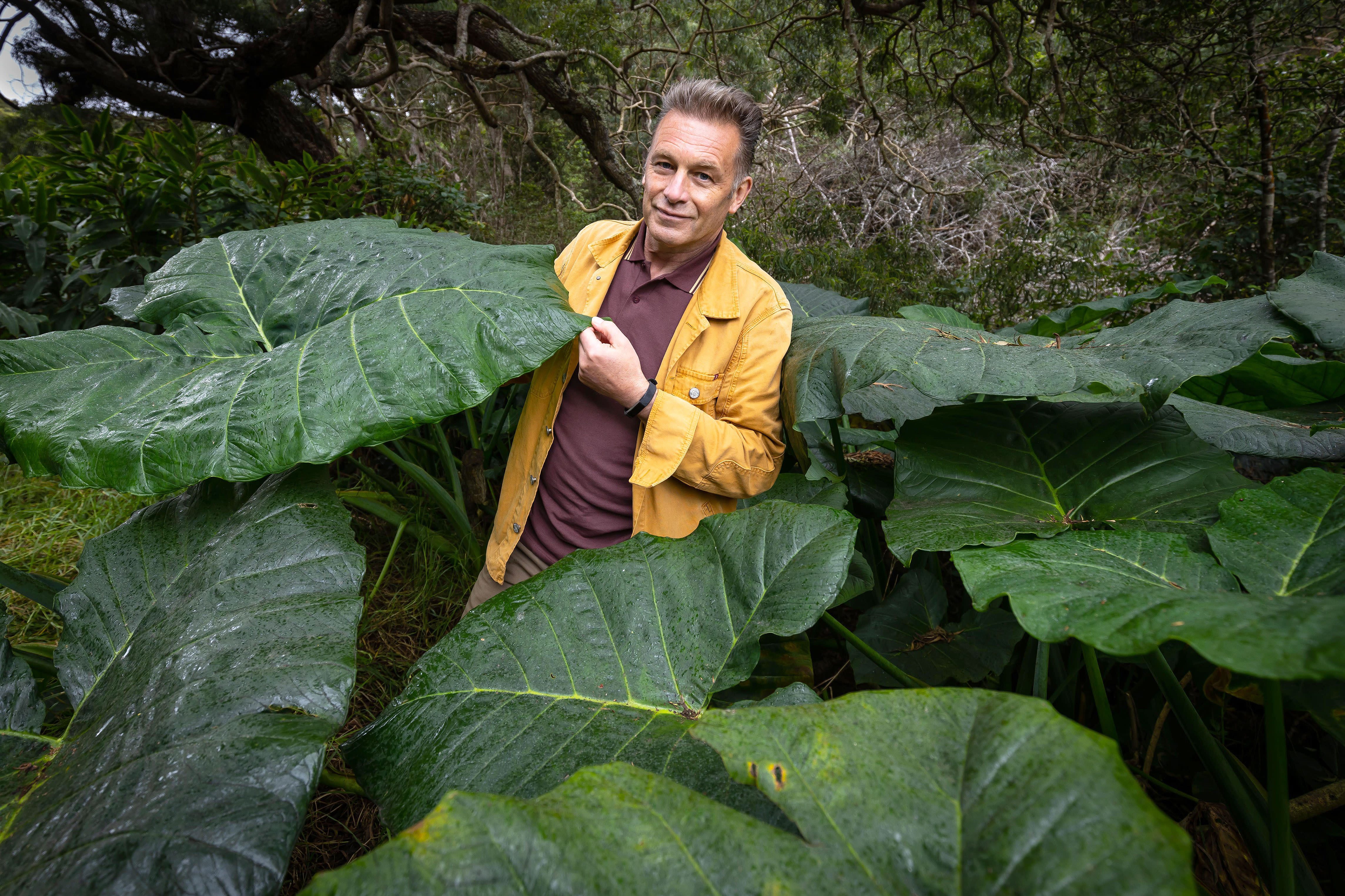 BBC Greenlights ‘Evolution’ With Chris Packham & Reveals It Has Doubled Its Number Of Blue-Chip Science Shows Per Year