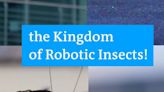 Robotic insects!