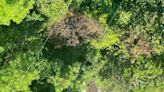 Apagón masivo en Puerto Rico: esto fue lo que pasó