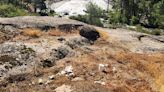 Yosemite National Park trashed with toilet paper? Rangers say it is an increasingly common sight