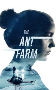 The Ant Farm