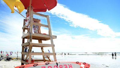 Shark bites spiked on Hilton Head in July, lifeguards say. Which species is the culprit?