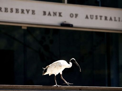 Australia's central bank holds rates, softens hawkish stance slightly