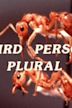 Third Person Plural