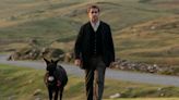 Colin Farrell was kicked by a donkey and bitten by a dog while filming The Banshees of Inisherin